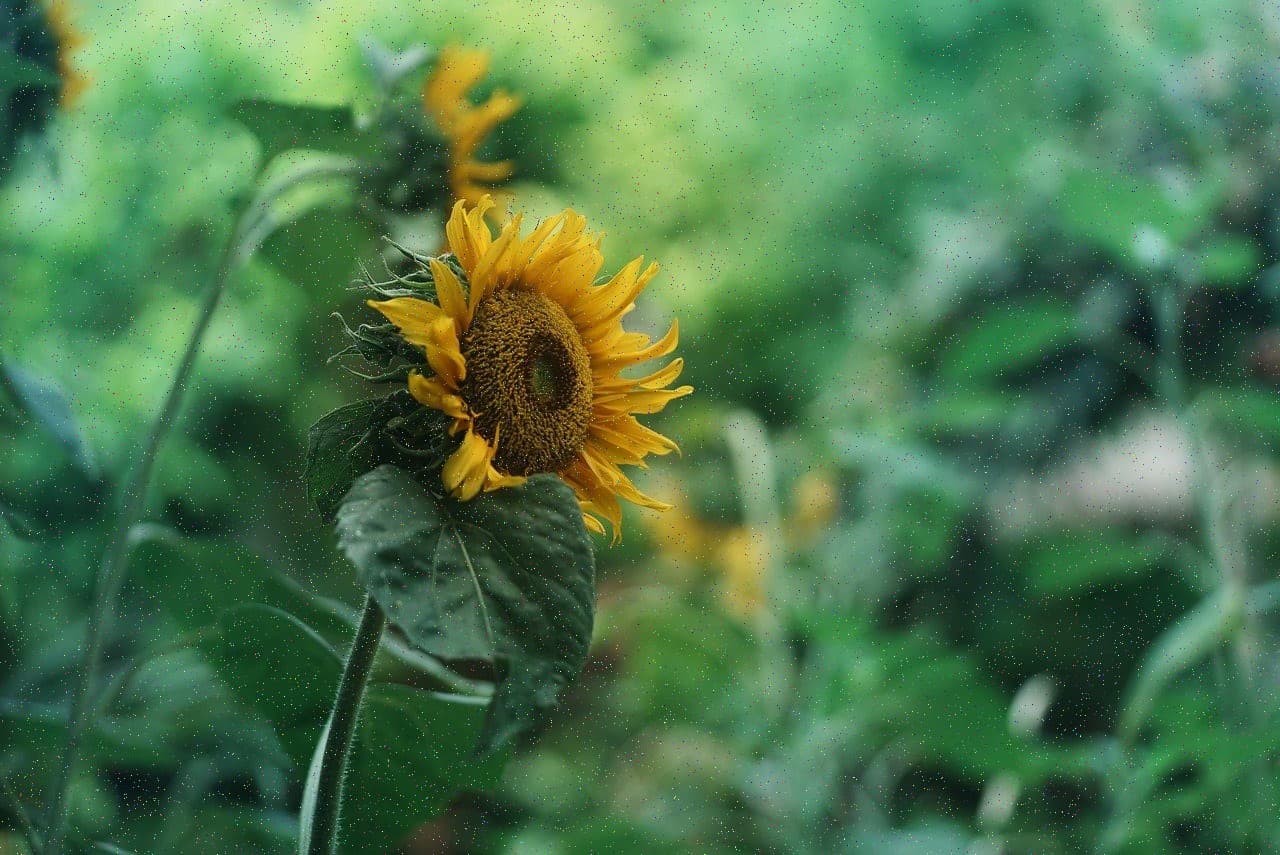 【本音レビュー】CaSy（カジー）家事代行サービスの評判・口コミ徹底調査｜利用者の体験談から見るメリット・デメリット